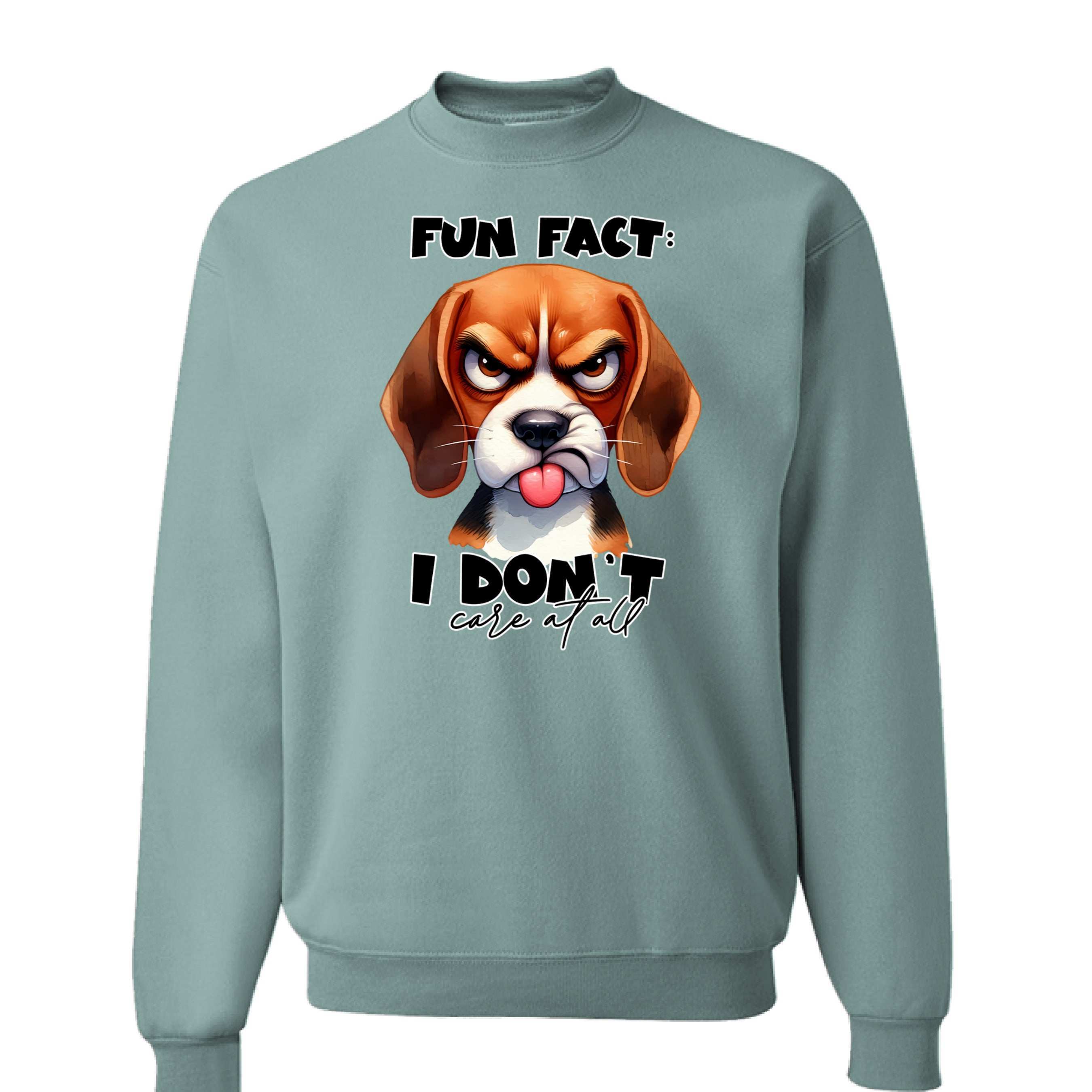 Fun Fact Don't Care Crewneck - Funny Sarcastic Sweatshirt
