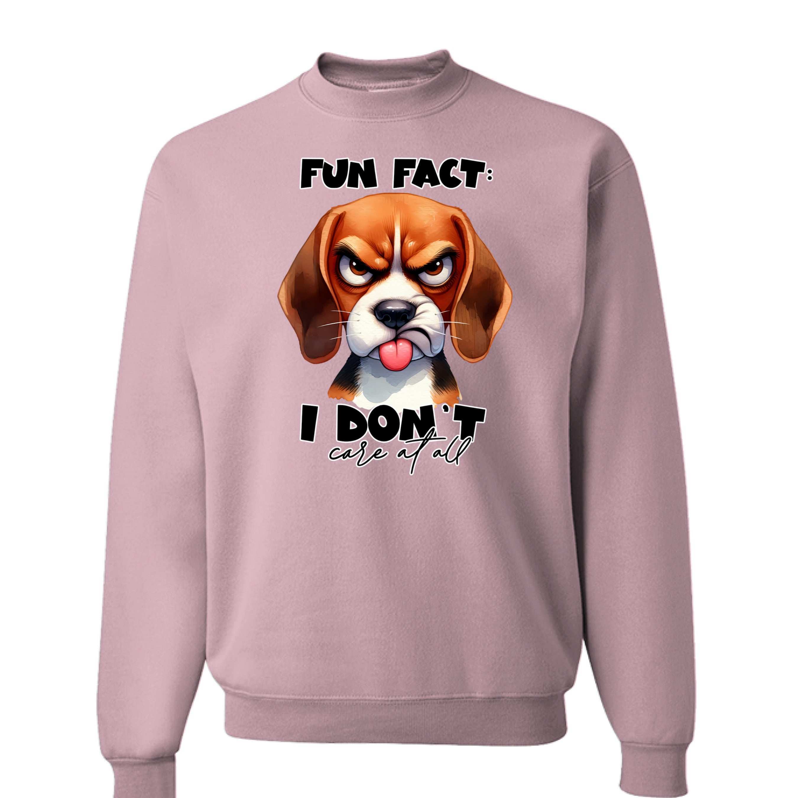 Fun Fact Don't Care Crewneck - Funny Sarcastic Sweatshirt