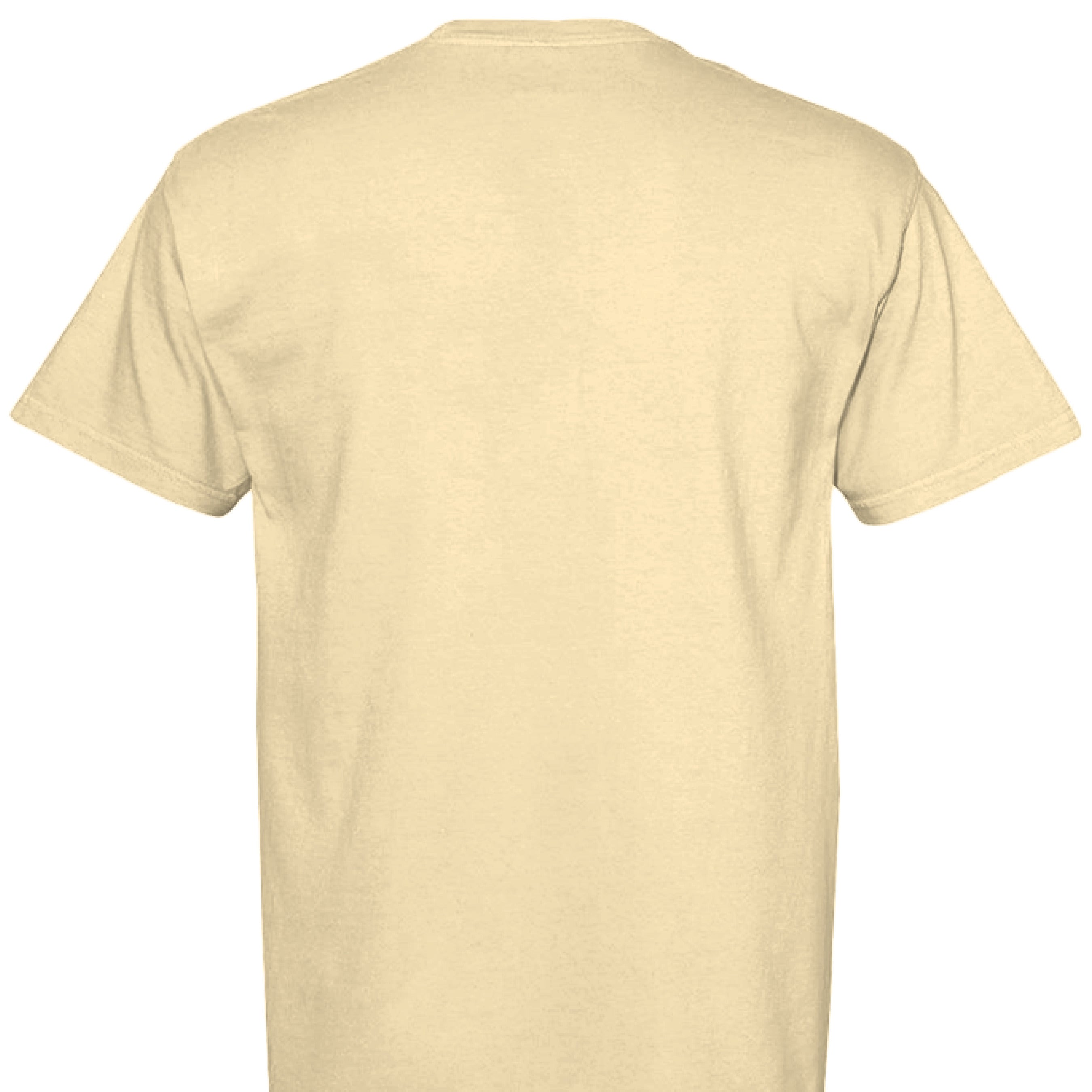 Comfort Colors T-Shirt - Inspirational You Are Fabulous