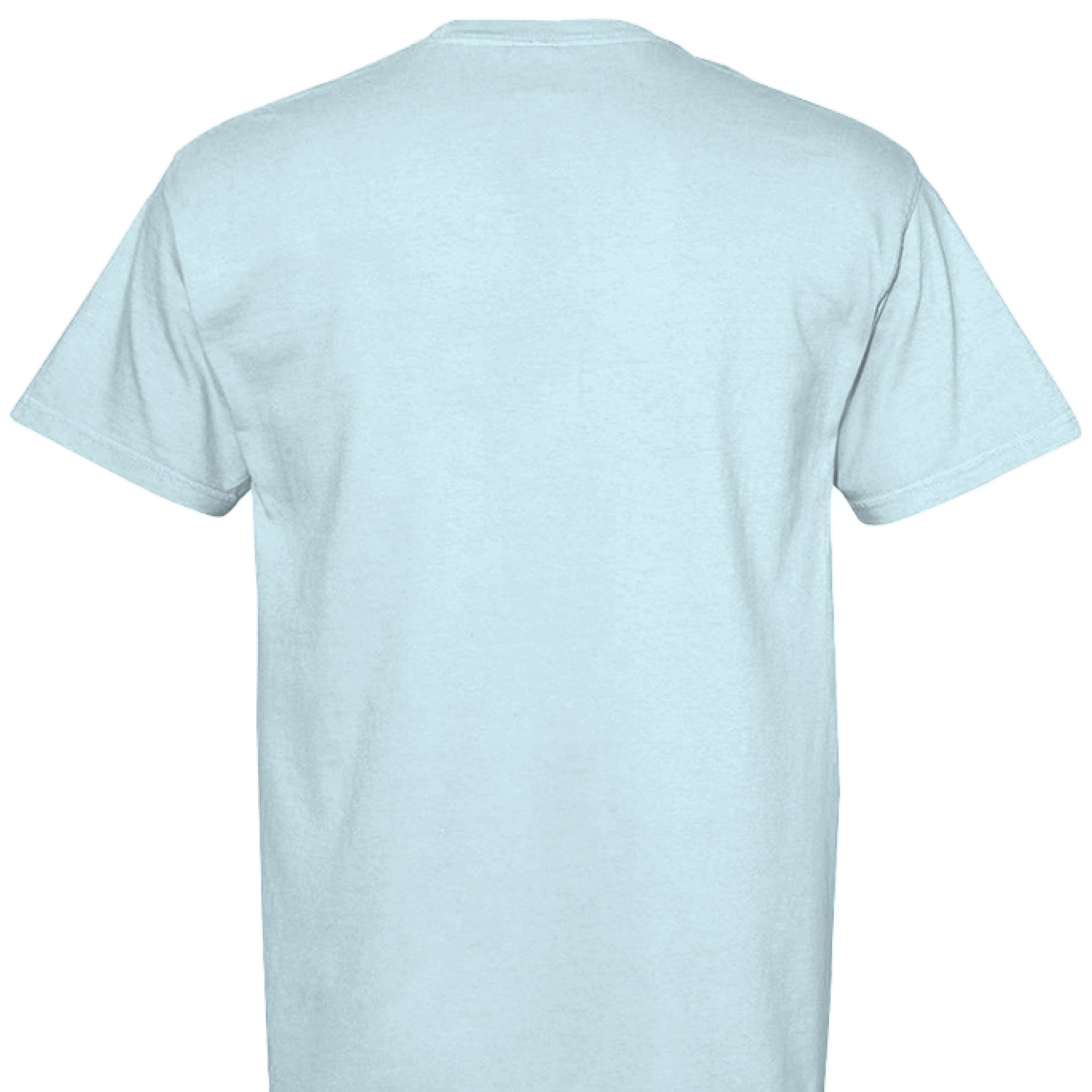 Comfort Colors T-Shirt - Inspirational You Are Fabulous