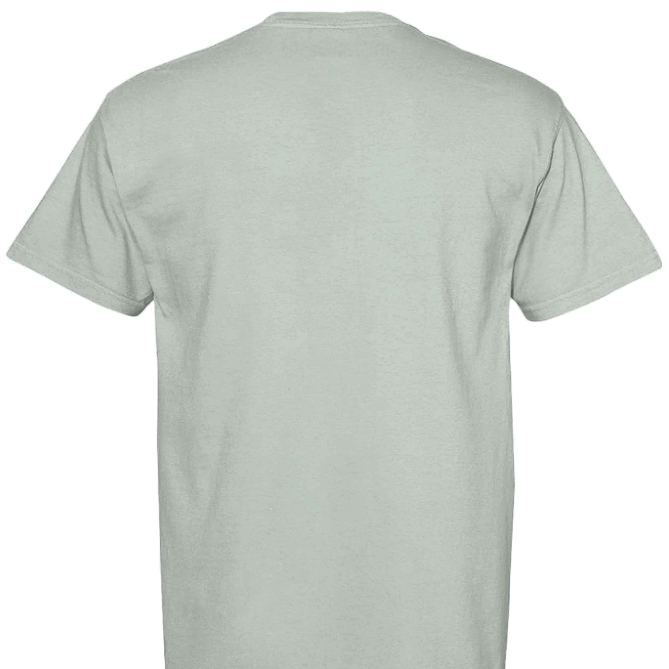 Comfort Colors T-Shirt - Funny Raccoon Saying