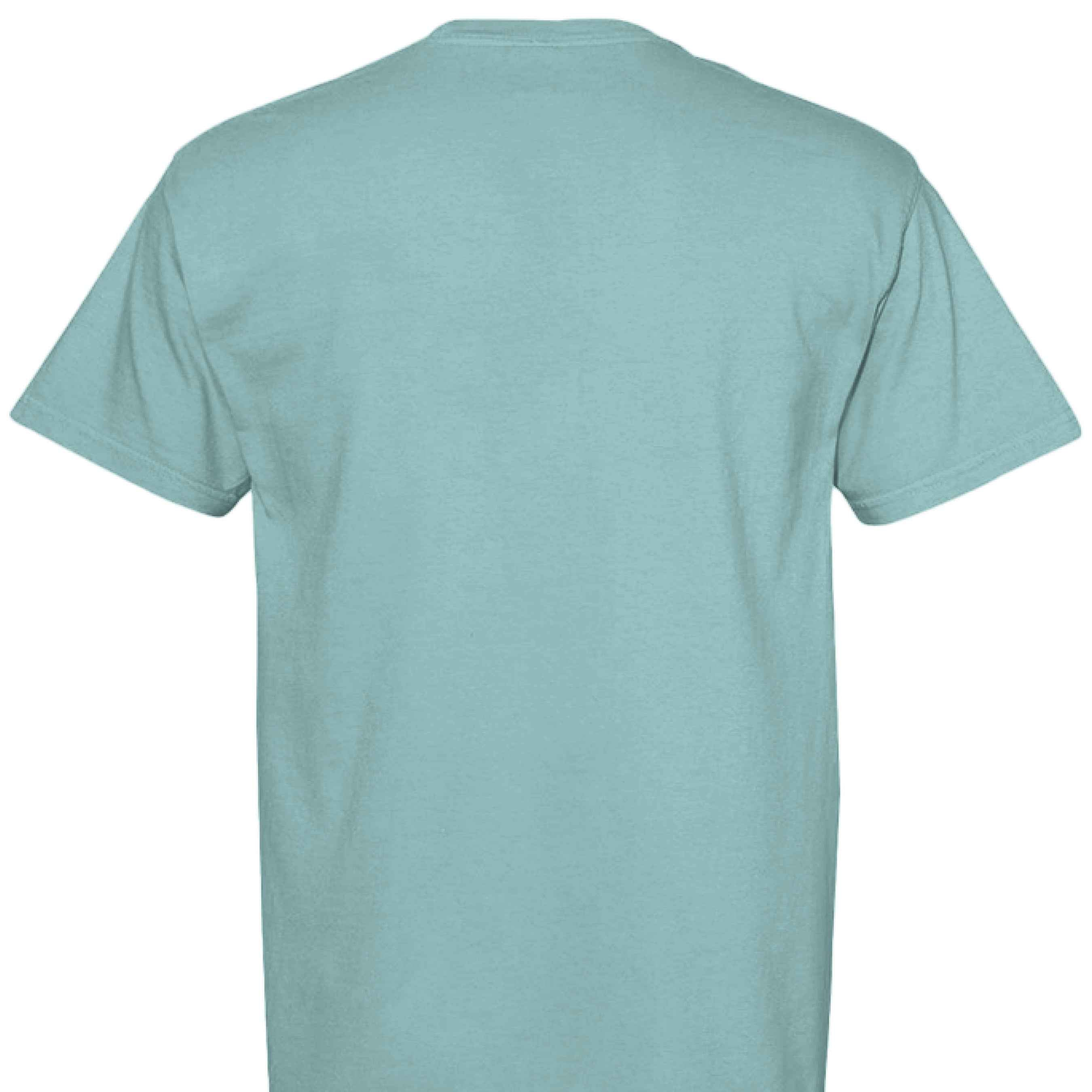 Comfort Colors T-Shirt - Little Girl Feeding Ducks