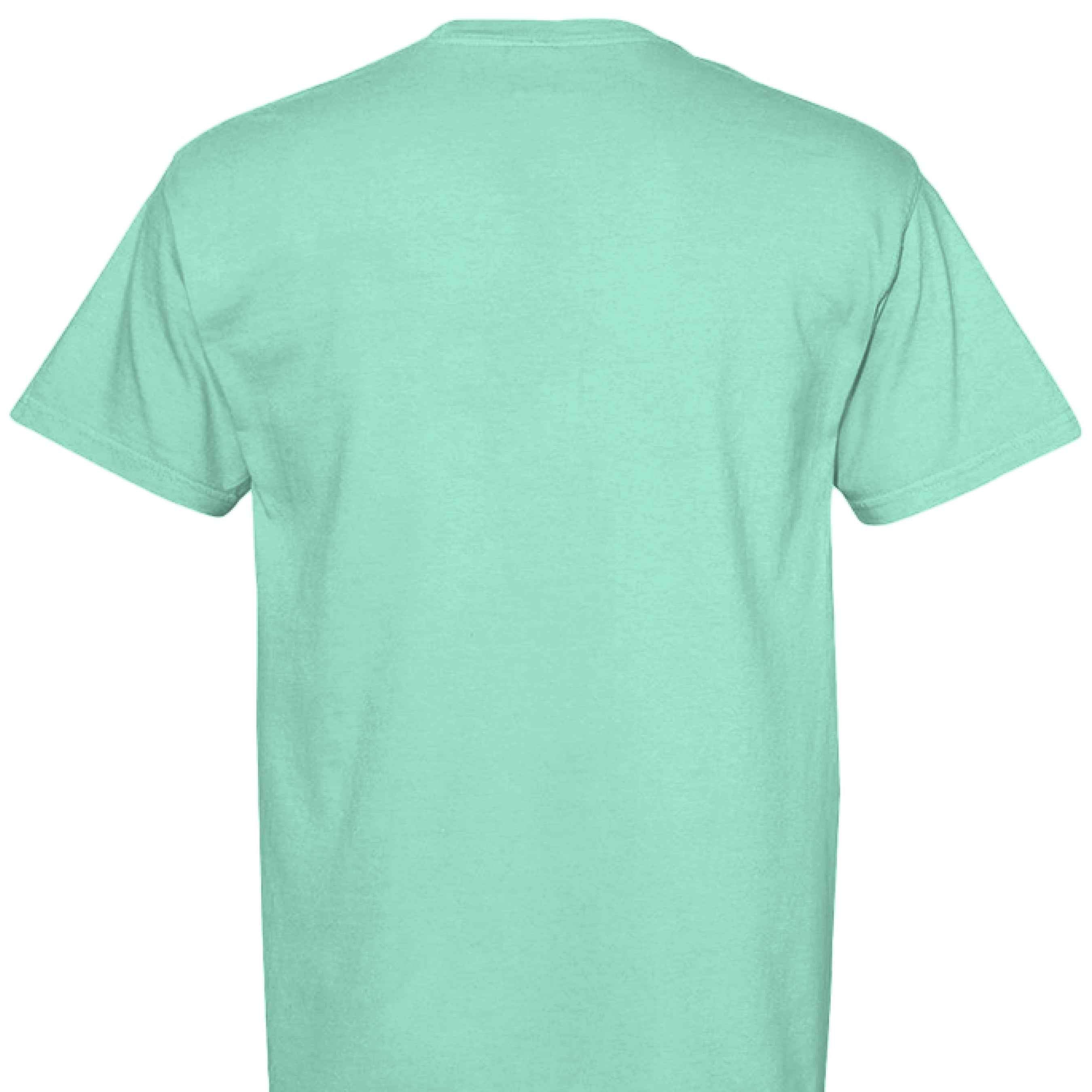 Comfort Colors T-Shirt - Little Girl Feeding Ducks