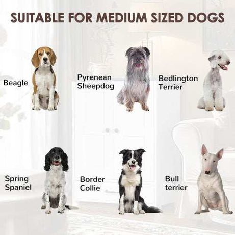 Premium Dog Feeding Station with Hidden Bowl Storage - Adjustable Food Locker for Medium Dogs