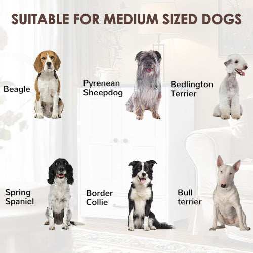 Premium Dog Feeding Station with Hidden Bowl Storage - Adjustable Food Locker for Medium Dogs