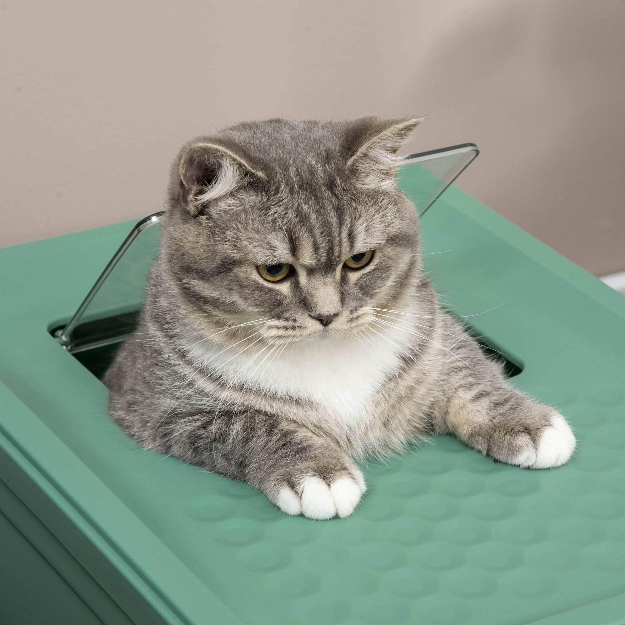 Wefulfil fully enclosed cat litter box - Odor Control