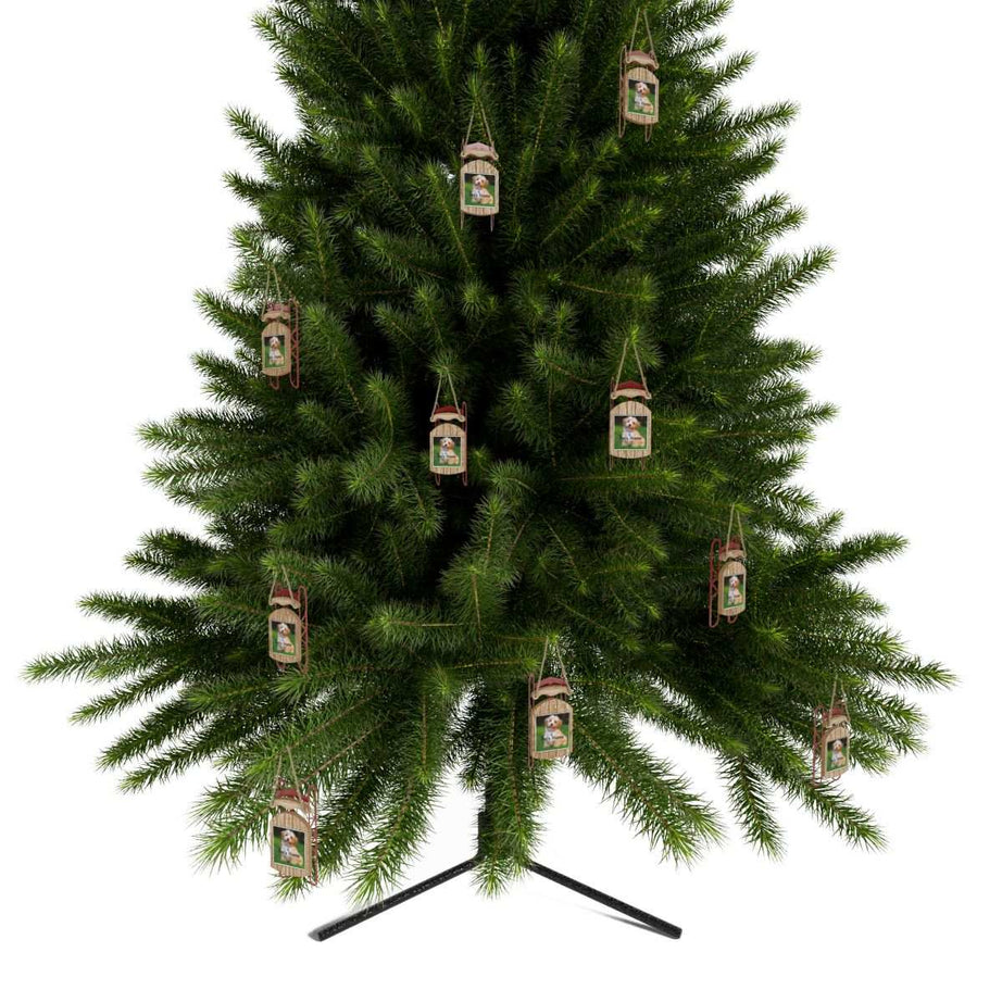Personalized Pet Sled Ornaments - Custom Holiday Decor