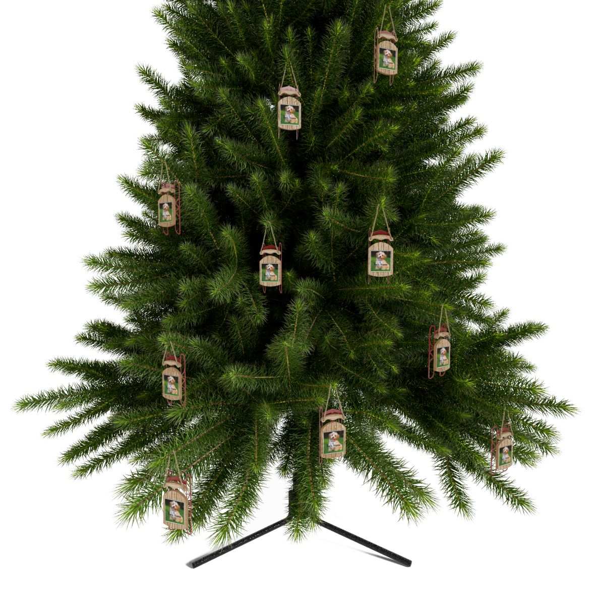 Personalized Pet Sled Ornaments - Custom Holiday Decor