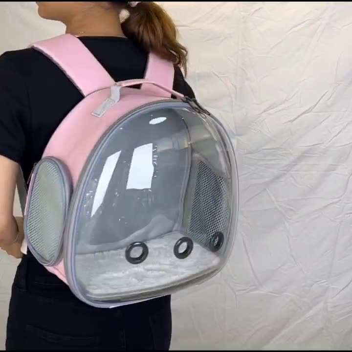 Small Animal Transparent Pet Carrier Backpack