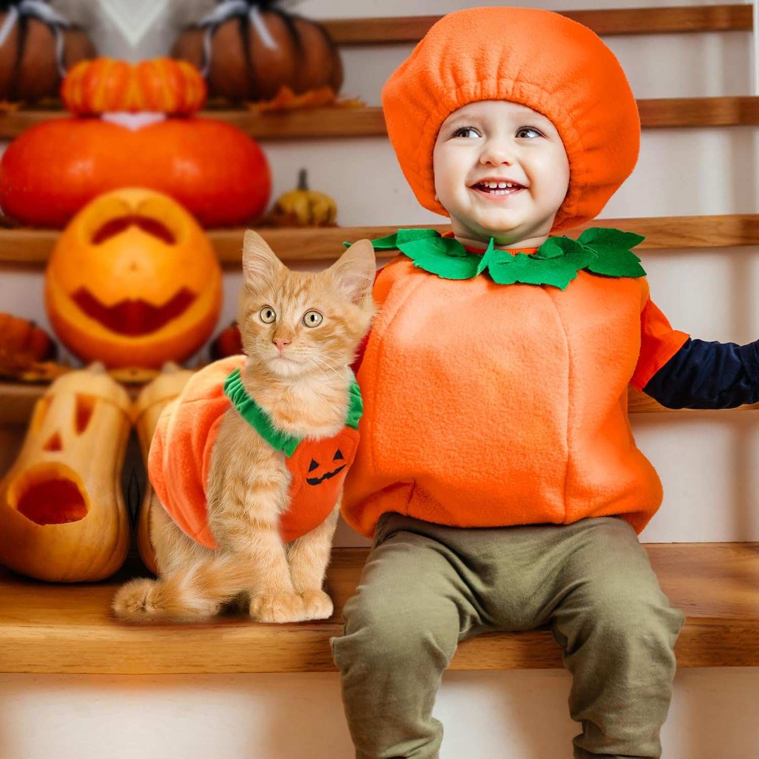 Fun Halloween Pumpkin Pet Dog Costume