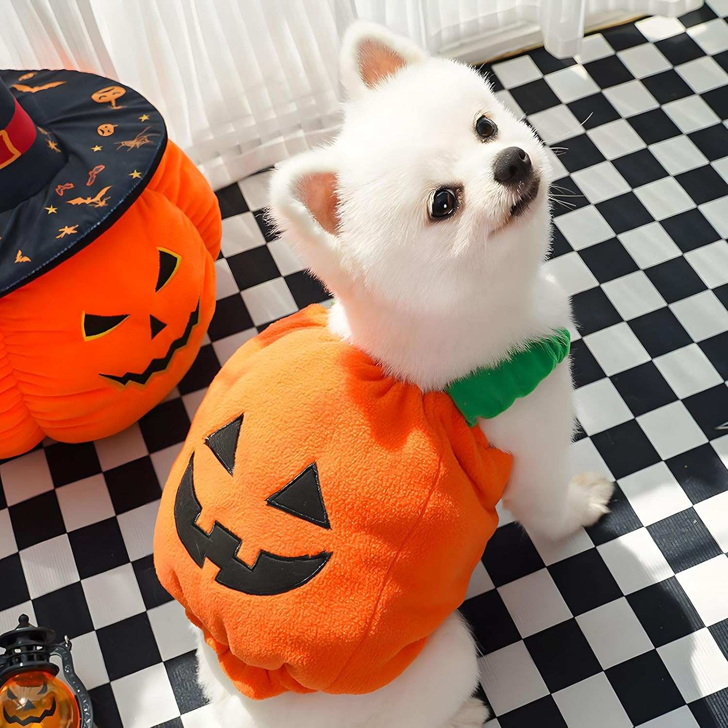 Fun Halloween Pumpkin Pet Dog Costume