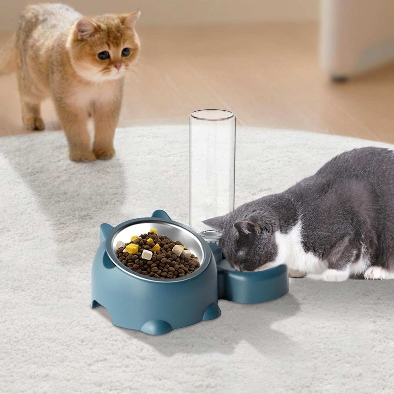Pet Water Bottle and Bowl for Dogs & Cats