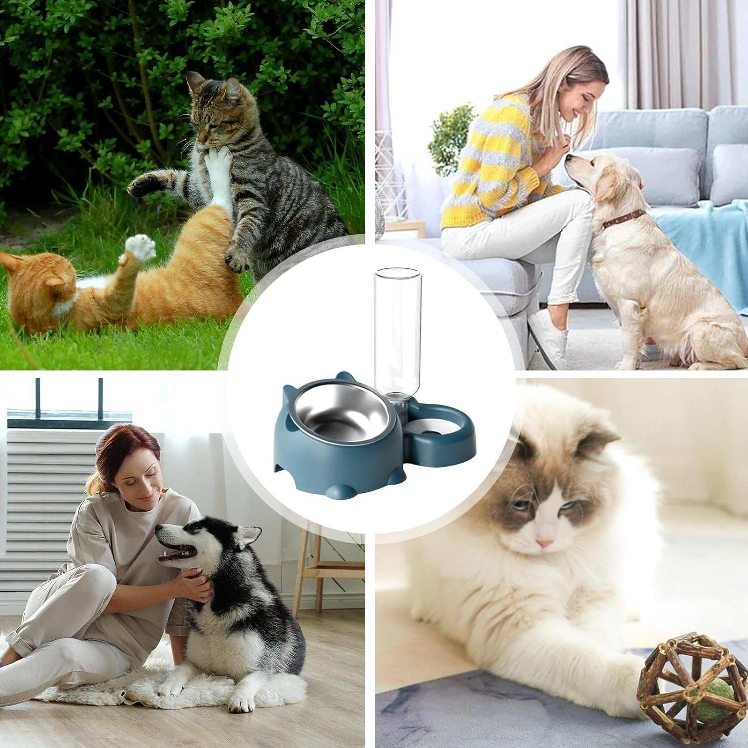 Pet Water Bottle and Bowl for Dogs & Cats