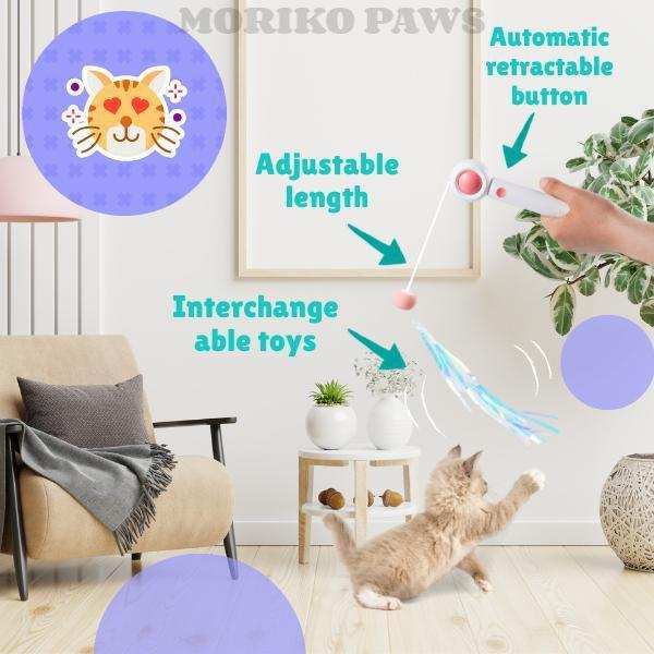 Retractable Interactive Laser and Cat Feather Wand Toy