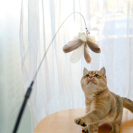 Retractable Interactive Laser and Cat Feather Wand Toy
