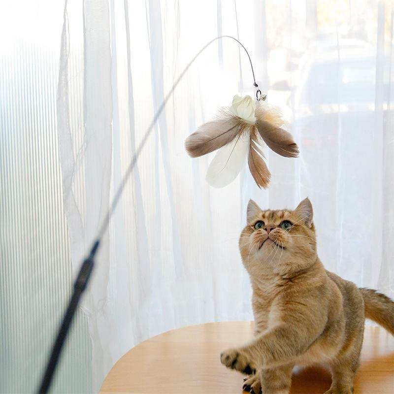 Retractable Interactive Laser and Cat Feather Wand Toy