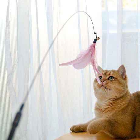 Retractable Interactive Laser and Cat Feather Wand Toy