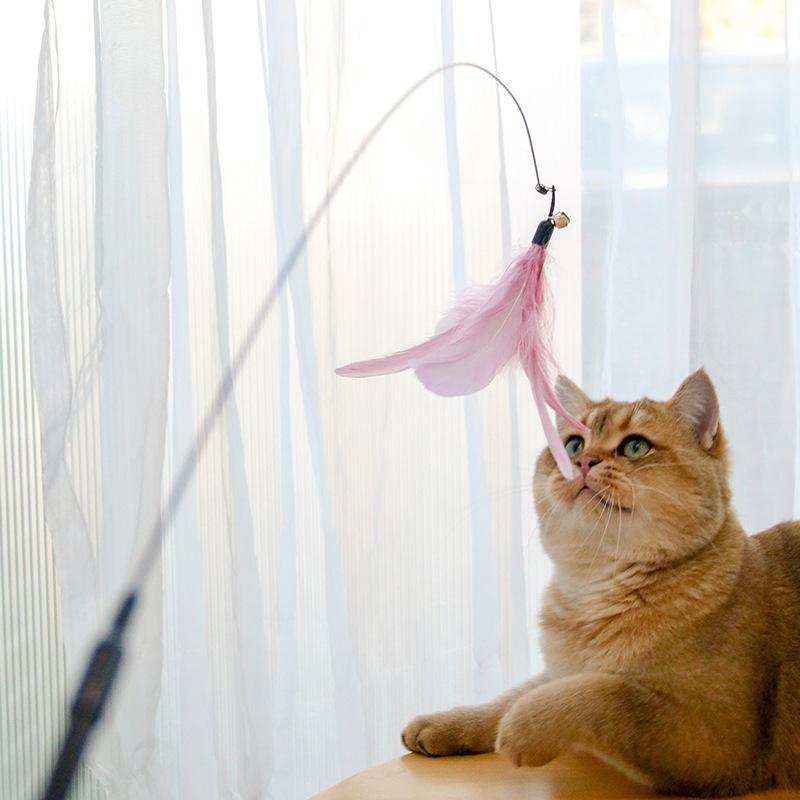 Retractable Interactive Laser and Cat Feather Wand Toy