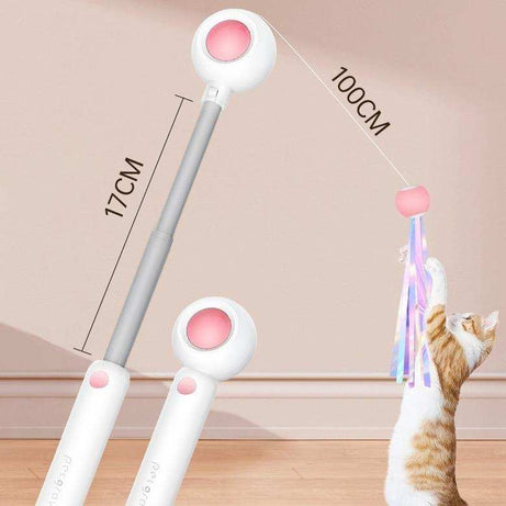 Retractable Interactive Laser and Cat Feather Wand Toy