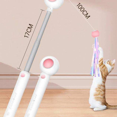 Retractable Interactive Laser and Cat Feather Wand Toy