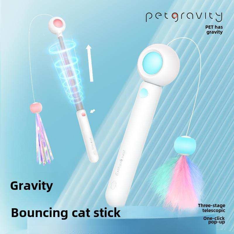 Retractable Interactive Laser and Cat Feather Wand Toy