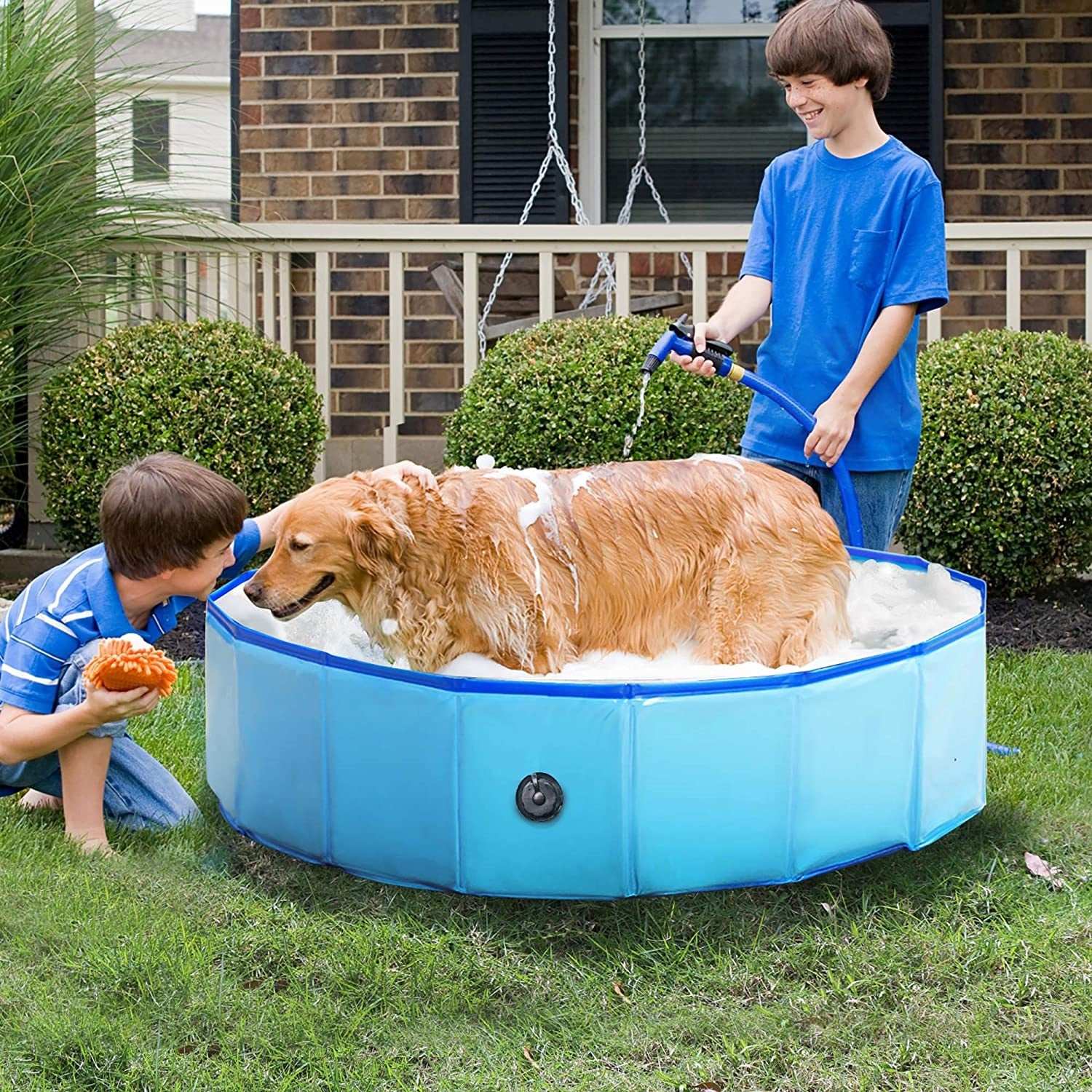 Portable Collapsible Pet Outdoor Swimming Pool