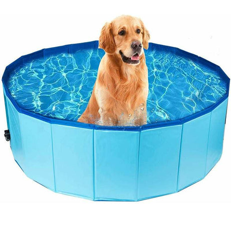 Portable Collapsible Pet Outdoor Swimming Pool
