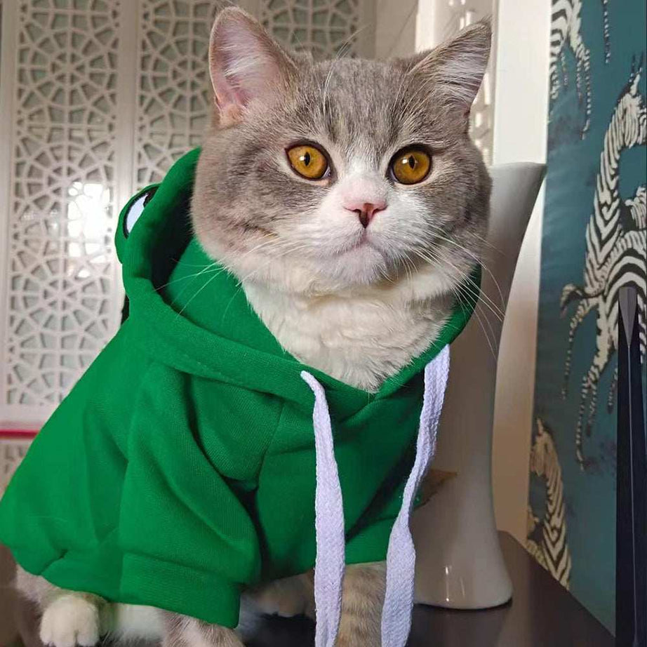 Adorable Frog Halloween Costume Hoodie - Soft Warm Pet Sweatshirt