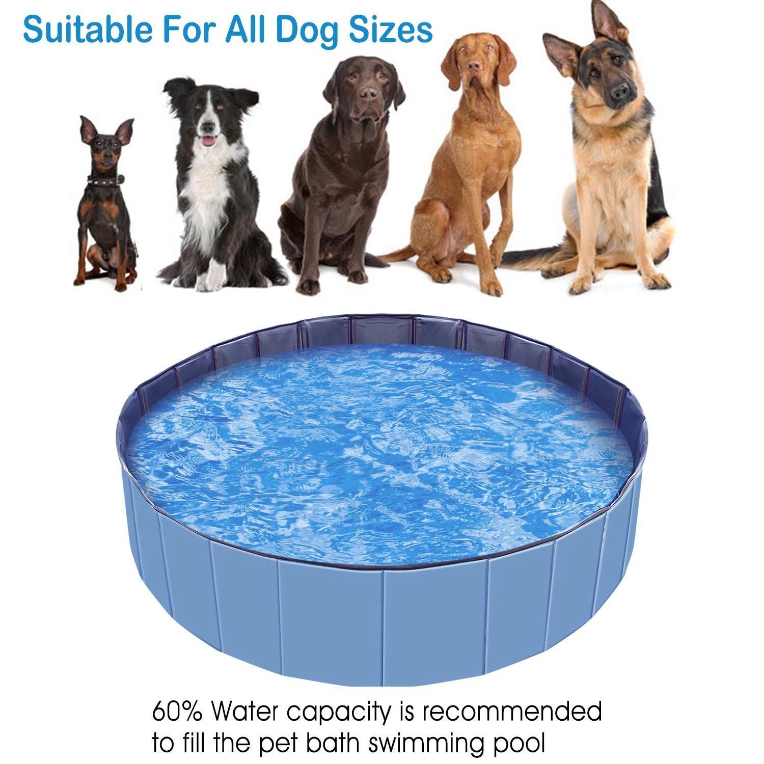Large Round 63-inch Portable Foldable Dog Pool