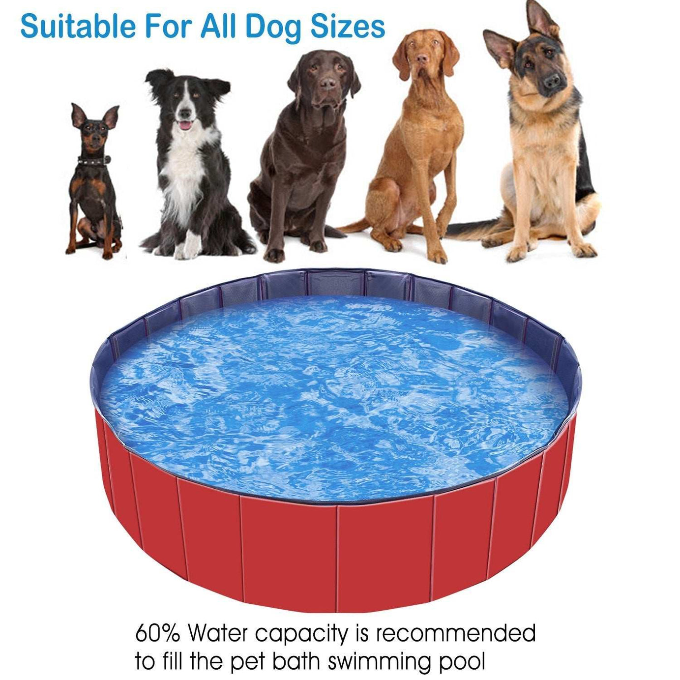 Large Round 63-inch Portable Foldable Dog Pool