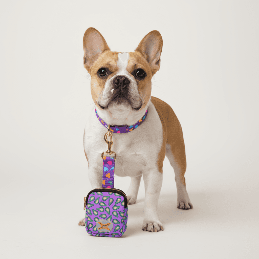 Dog Leash with Poop Bag Holder - Matching Set