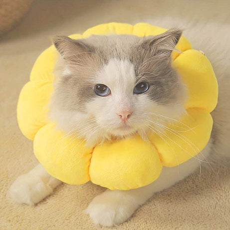 Cute Sunflower Adjustable After Surgery Recovery Neck Cone