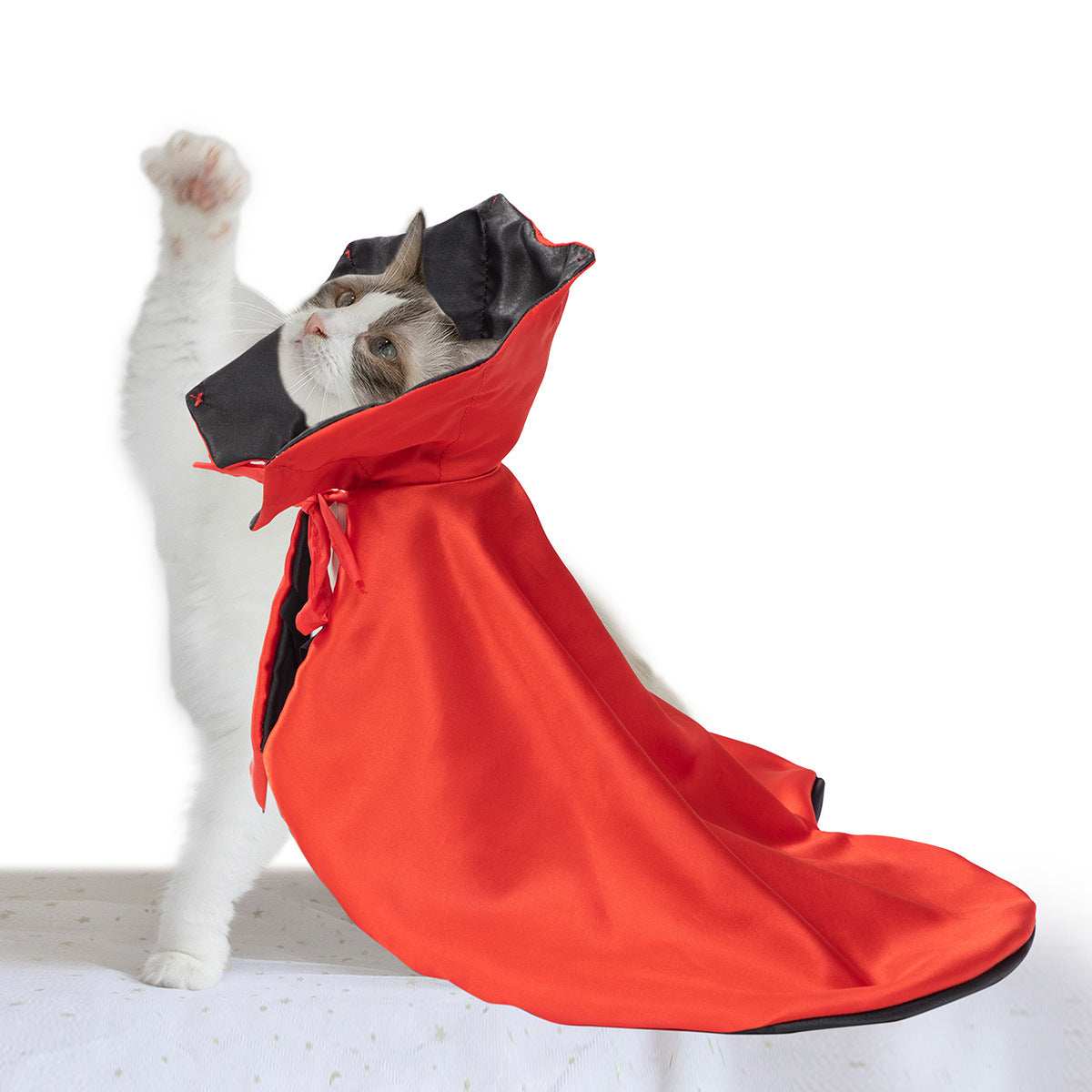 Spooky Halloween Pet Cloak - Mysterious Costume Cape for Dogs & Cats