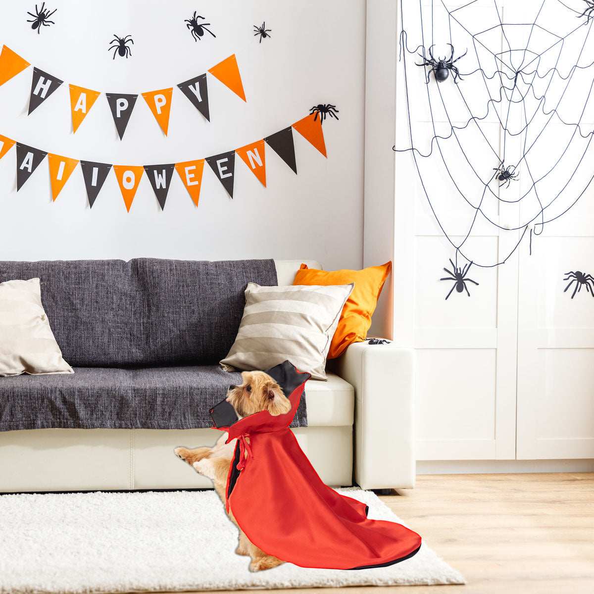 Spooky Halloween Pet Cloak - Mysterious Costume Cape for Dogs & Cats