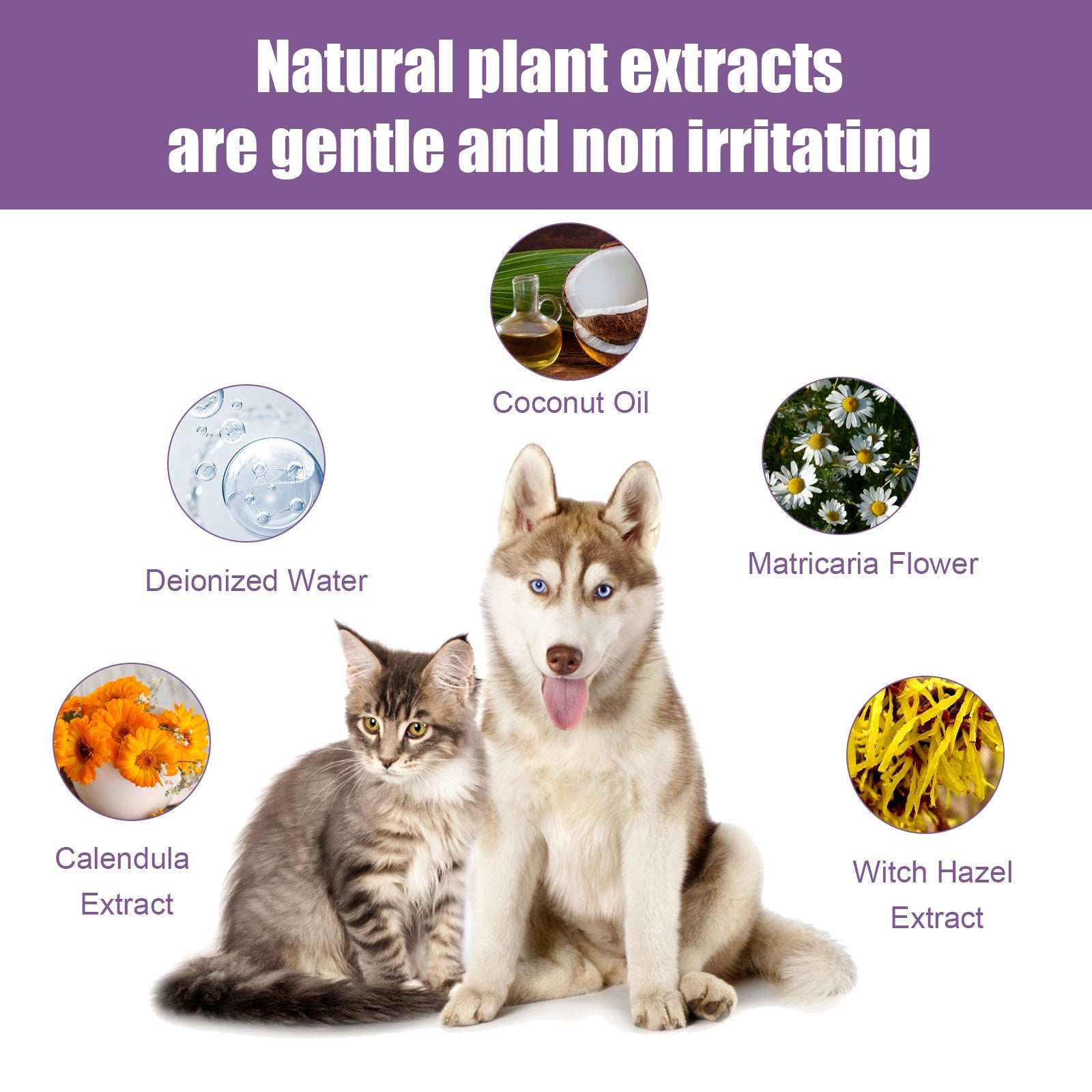 Pet Cat And Dog Ear Rinse - Relieve Ear Odor