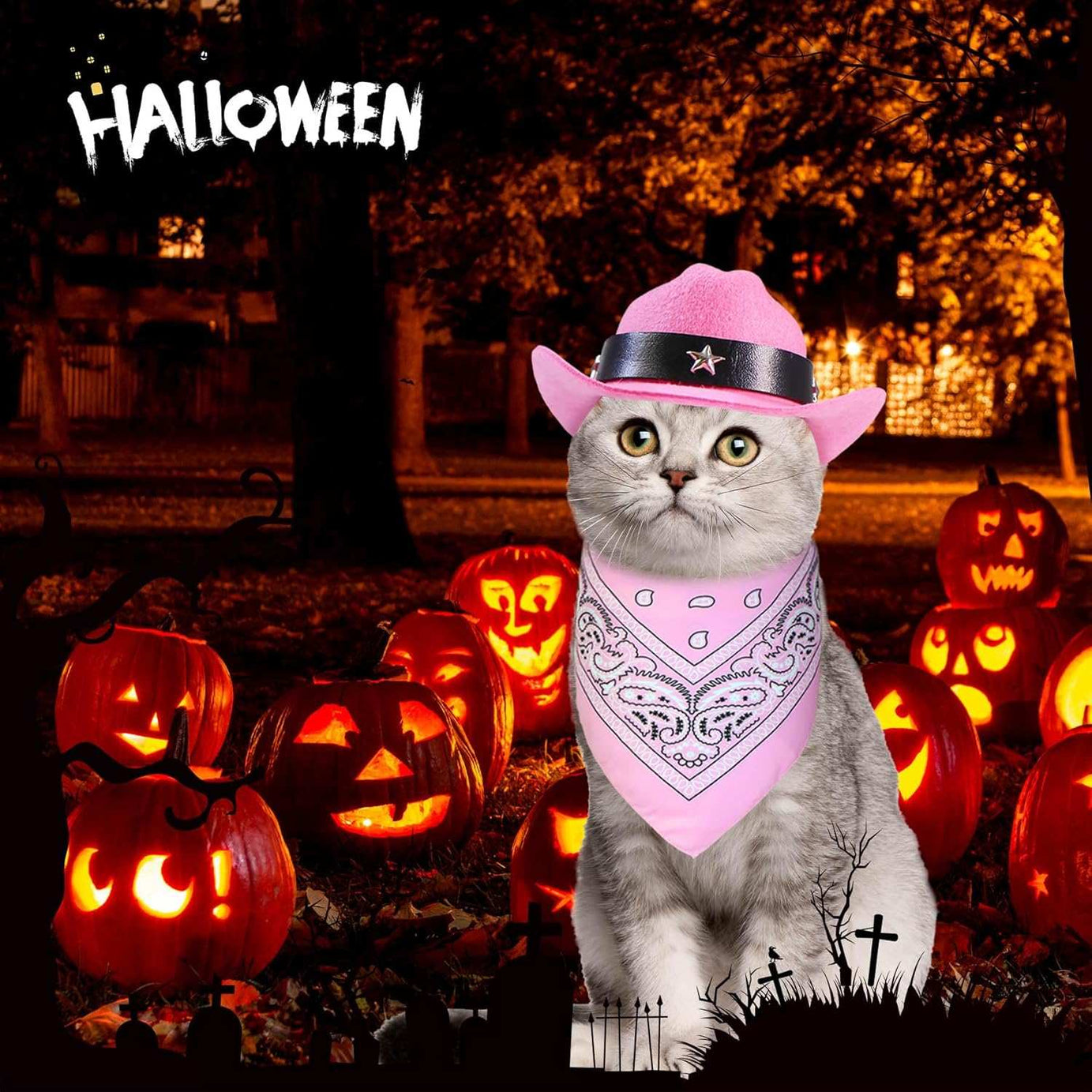 Halloween Pet Dog or Cat Pink Western Bandana and Hat Set