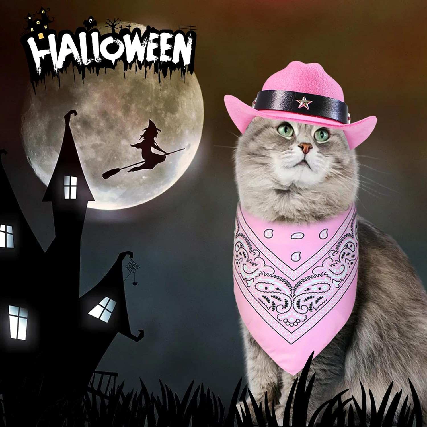 Halloween Pet Dog or Cat Pink Western Bandana and Hat Set