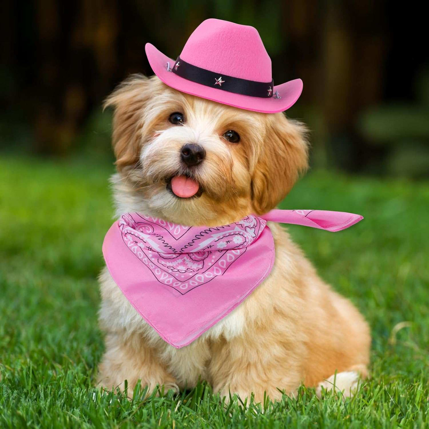 Halloween Pet Dog or Cat Pink Western Bandana and Hat Set