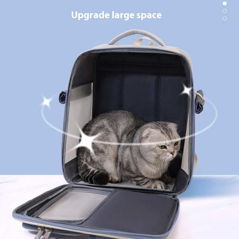 Cat Bag Backpack Four Seasons Universal Anti-stress Portable